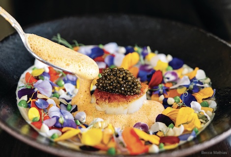 Scallop and Caviae
